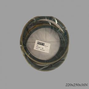 Kessler 220x250x16N Radial Sealing Ring 