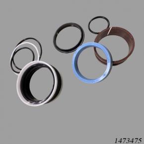 Hyster Reach Stacker 1473475 Seal Kit