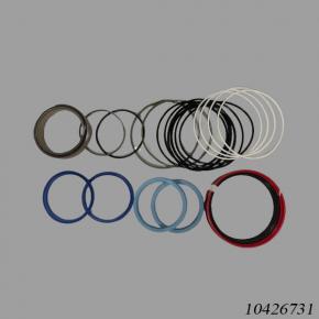 Sany Reach Stacker 10426731 Seal Kit