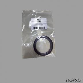 Hyster Forklift HY1624613 Seal