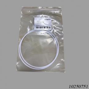 Sany Reach Stacker 10250751 Retainer Ring